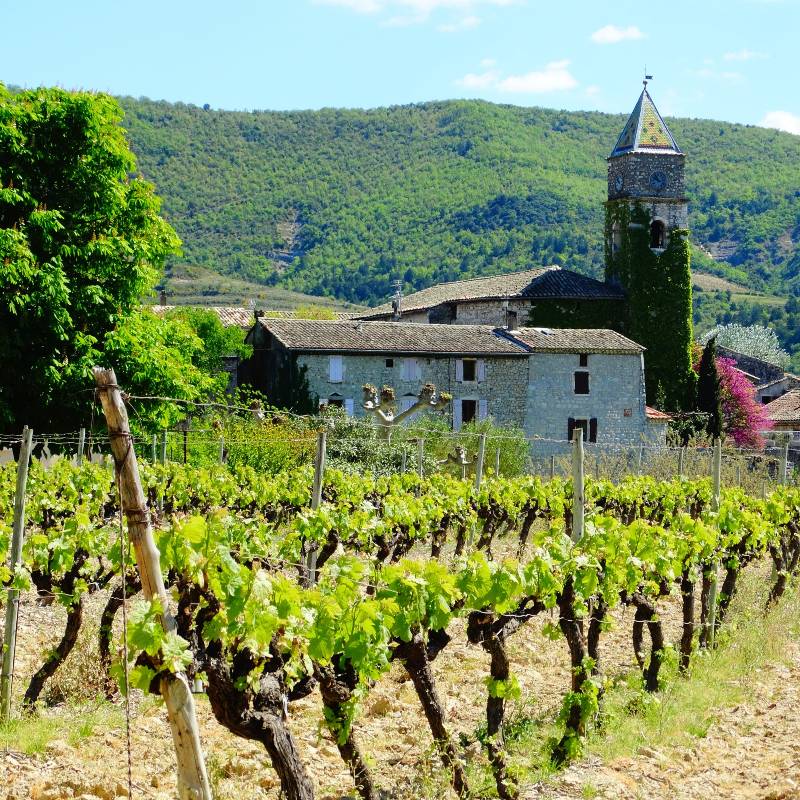 Vineyards in front of the church in Valvignères, Ardèche / photo: Wikimedia