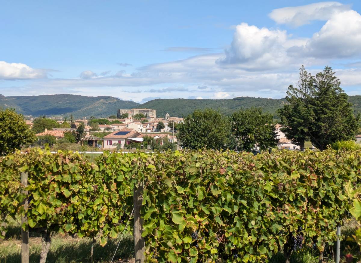 Vignes et village d'Alba la Romaine en Ardèche