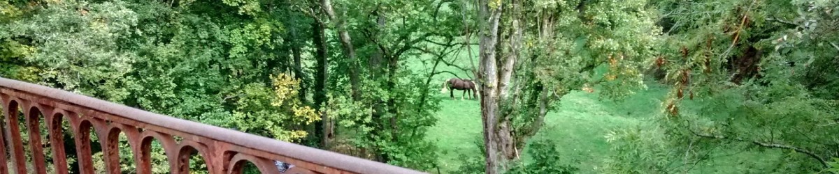 Randonnées entre Annonay et Bourg-Argental, vue sur un pré avec un cheval depuis l'ancien pont ferrovaire
