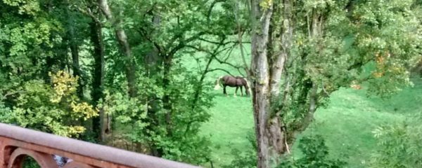 Annonay / Bourg-Argental: walk along the old railway line and the greenway in the making
