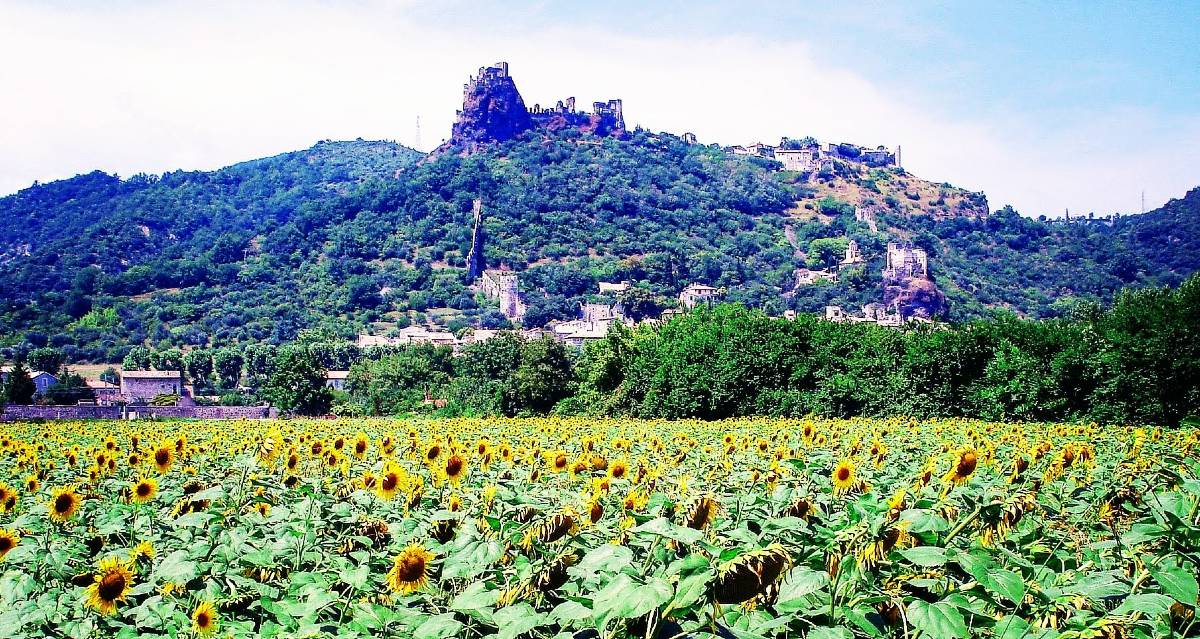 Vue sur le château de Rochemaure en Ardèche au dessus d'un champ de Tournesol