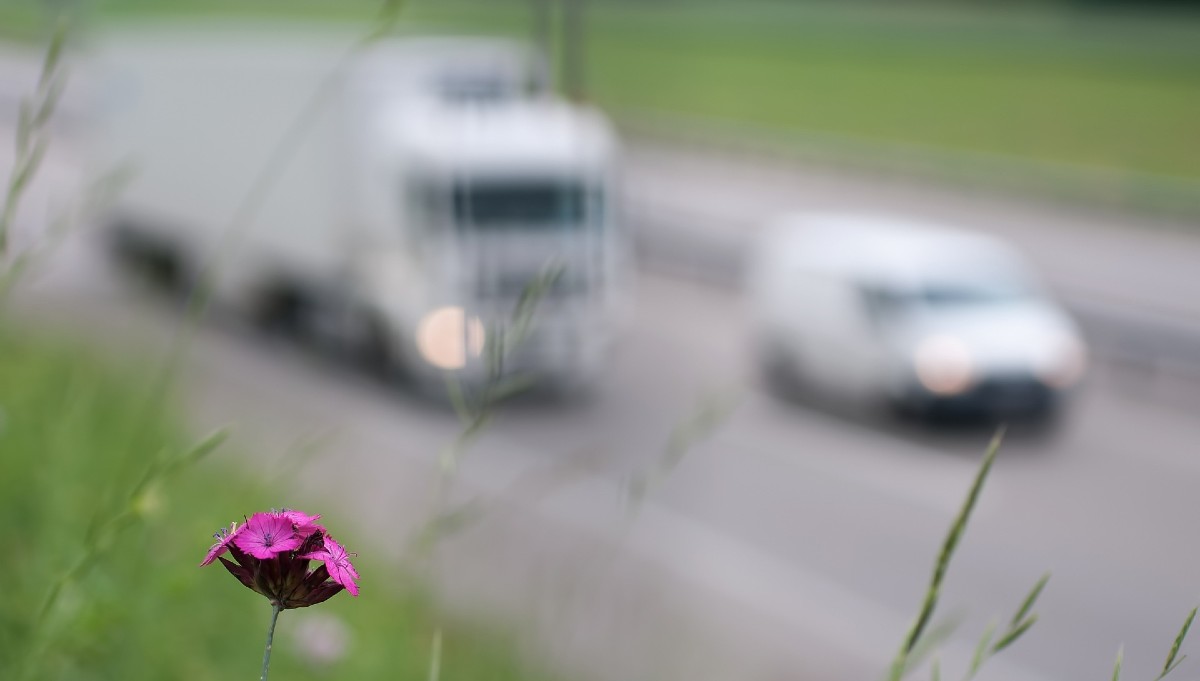 Pollution par les véhicules et les routes / Photo Realworkhard