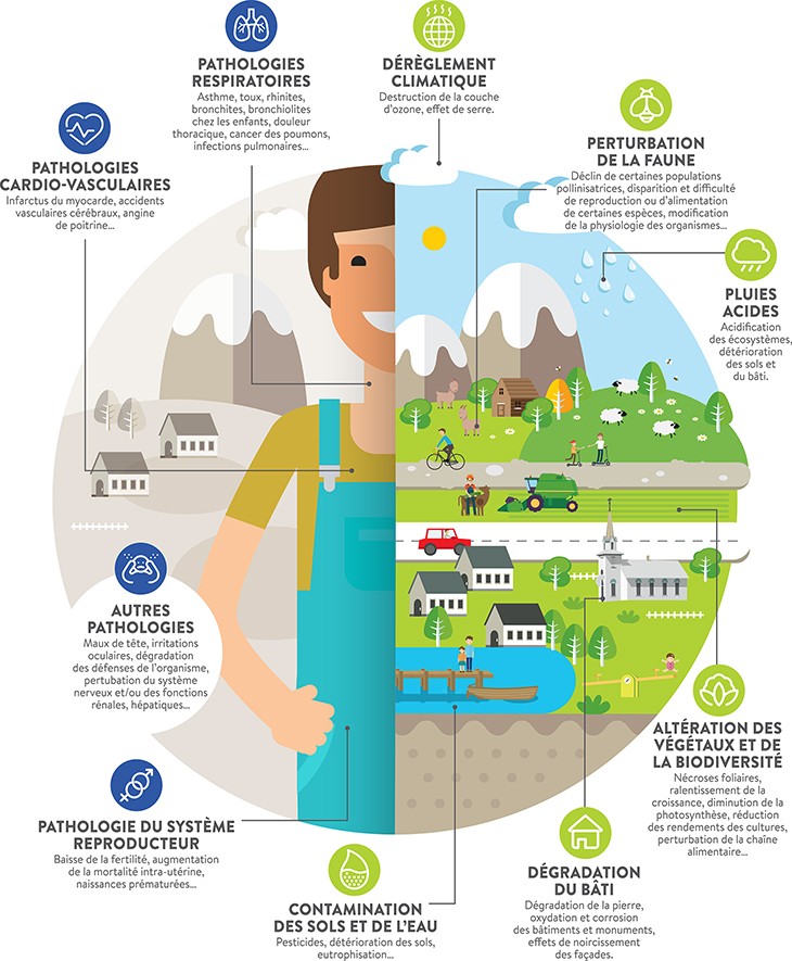 Effets et pathologies de la pollution de l'air / Atmo France