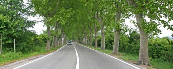 La route départementale D86 en Ardèche
