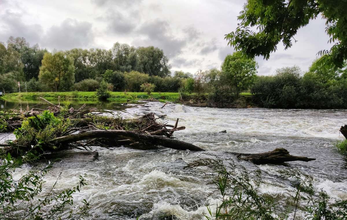 Une rivière en crue avec des arbres à flots et un ciel chargé de nuages