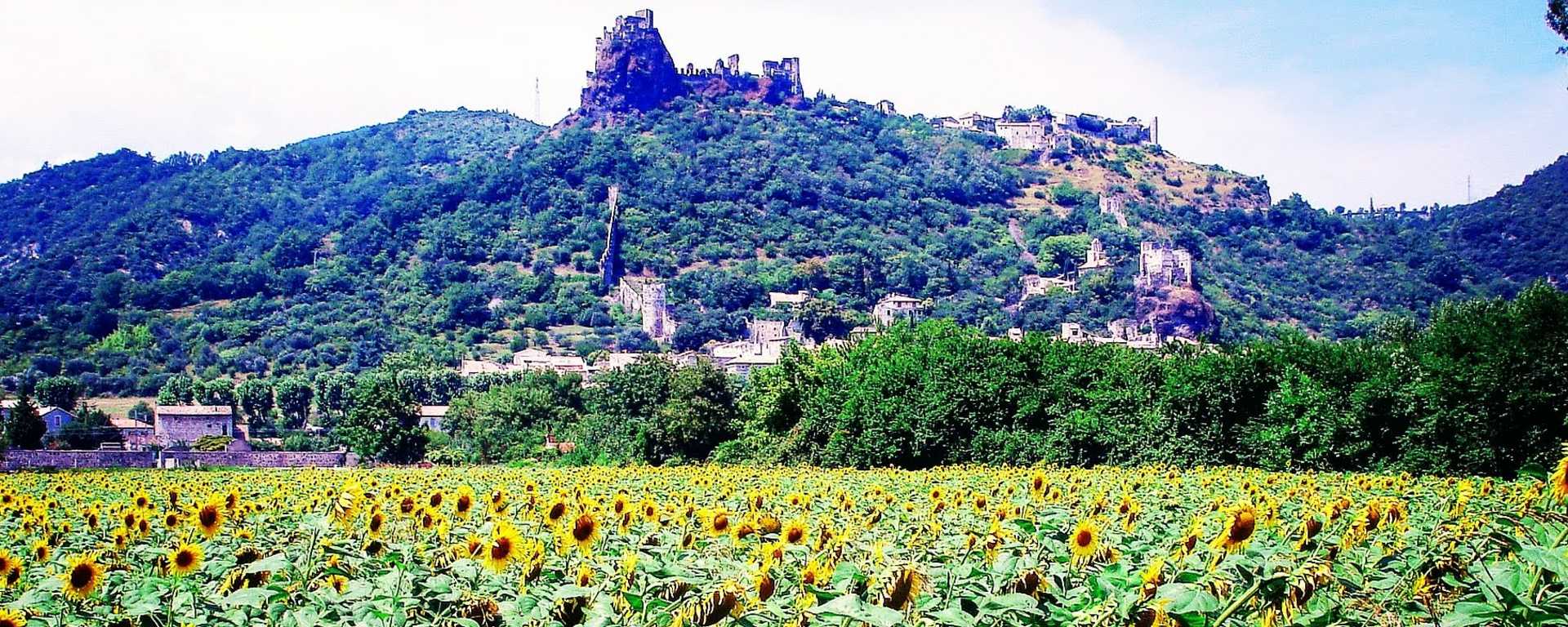 Vue depuis un champ de tournesol sur le château de Rochemaure en Ardèche