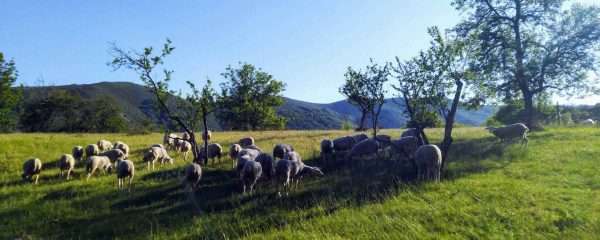 La Montée du Pal et Vallée de la Fontaulière depuis Montpezat en Ardèche